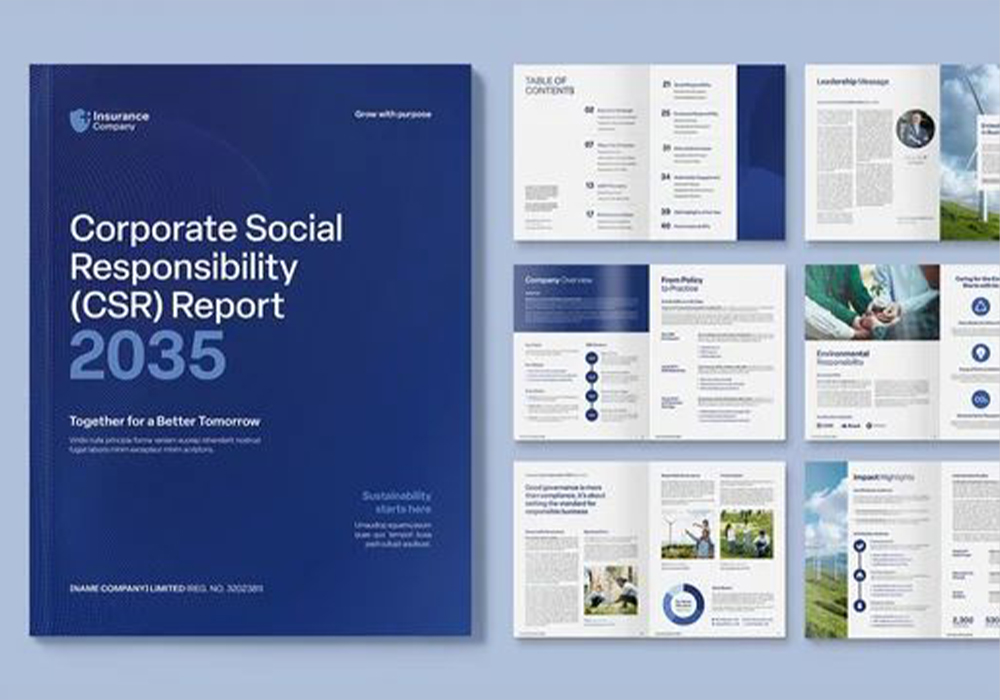CSR Reports