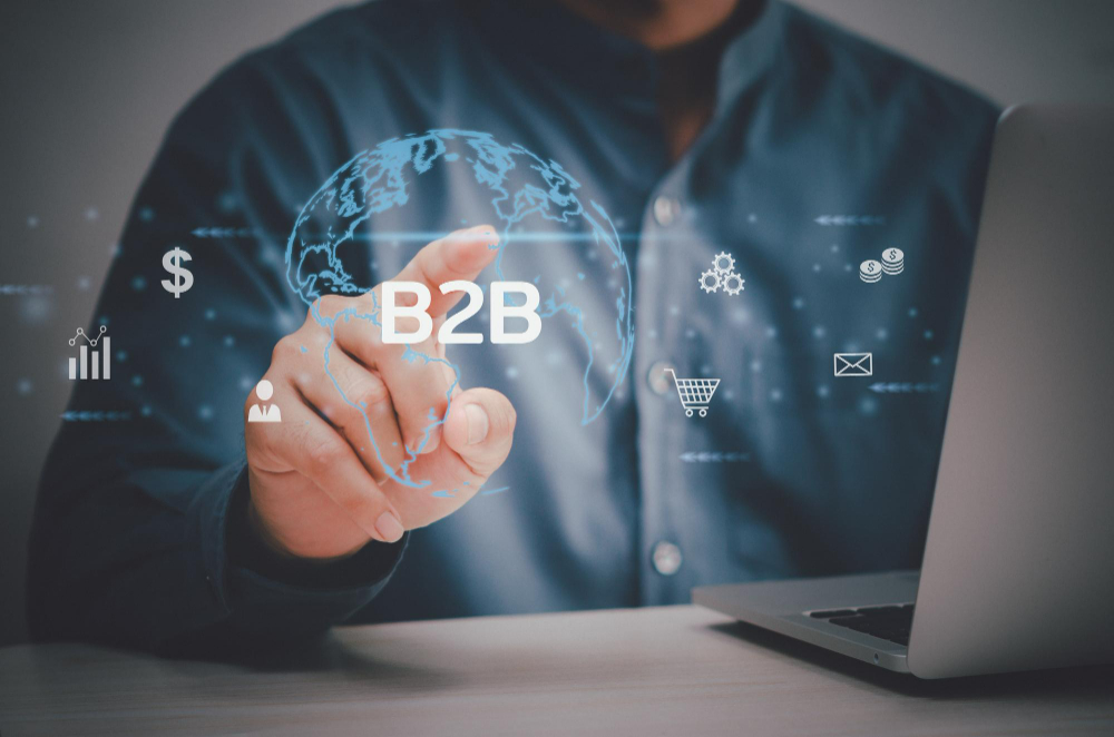 branding & website development for B2B companies